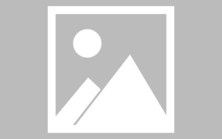 无棣编制网站建设（编制网站建设包括哪些）